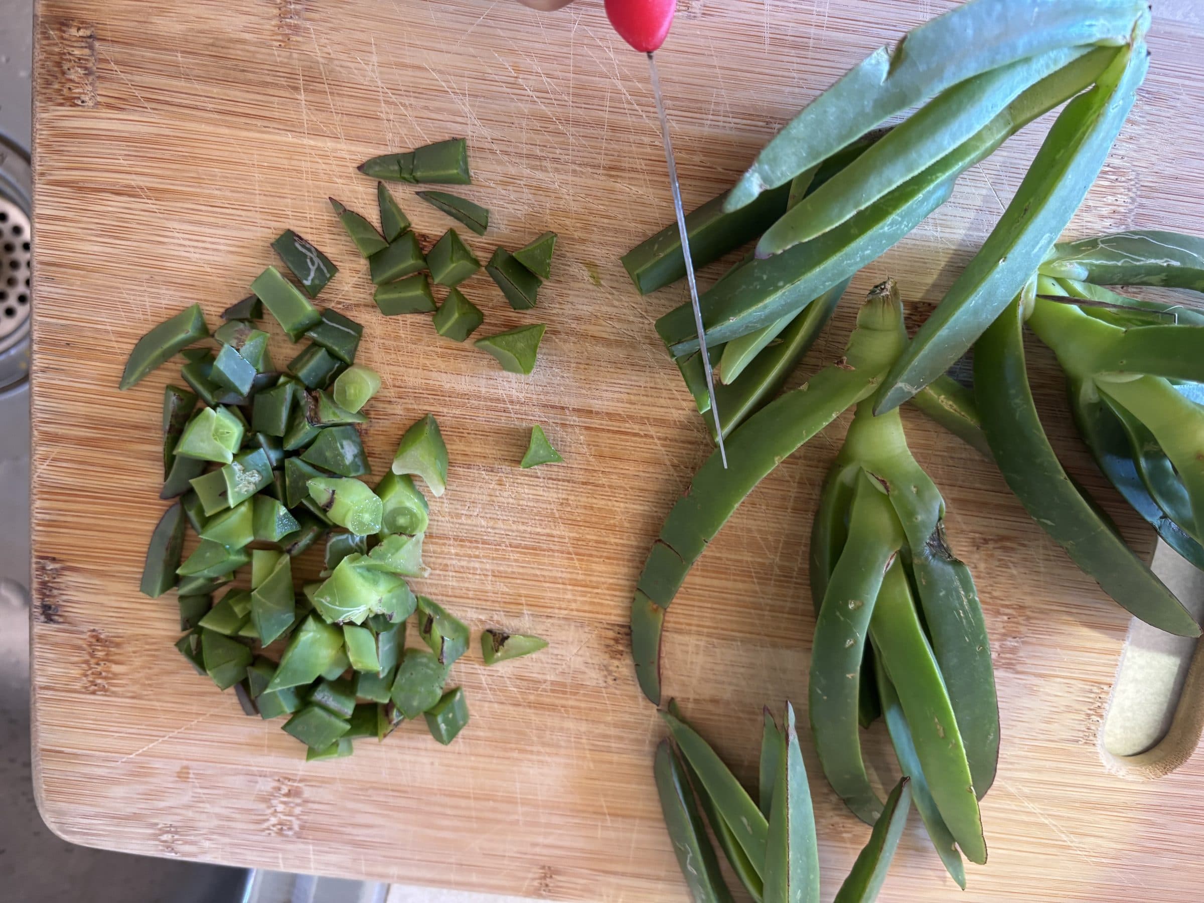 Processing ice plant — extracting Carpobrotus edulis